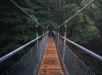 first perspective photography of hanging bridge